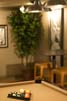 ConDetails027
